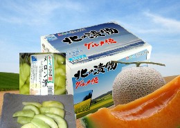 �k�C���̒Е��@�c���Е��{�܁@��������