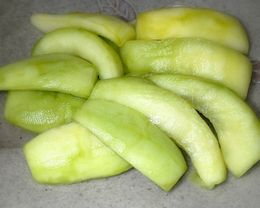 �k�C���̒Е��@�c���Е��{�܁@�������Ё@����t����
